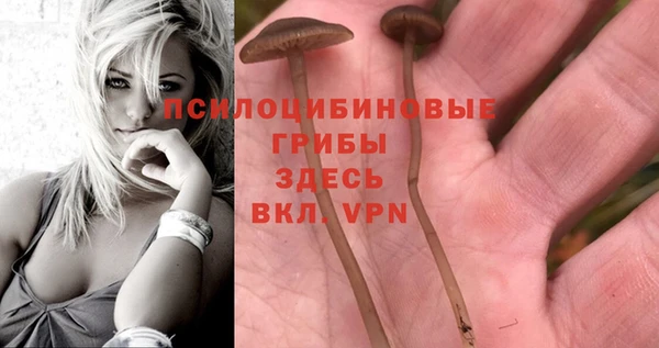 молекула духа Арсеньев