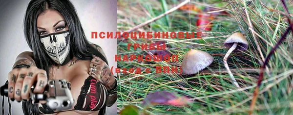 амф Заводоуковск