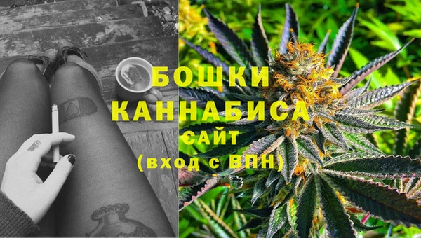 молекула духа Арсеньев