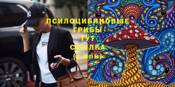 шишки Карталы