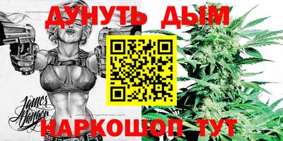 гидра Малгобек