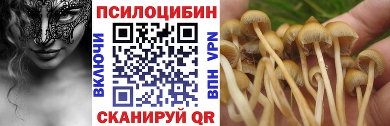 Галлюциногенные грибы GOLDEN TEACHER  Рыбинск 
